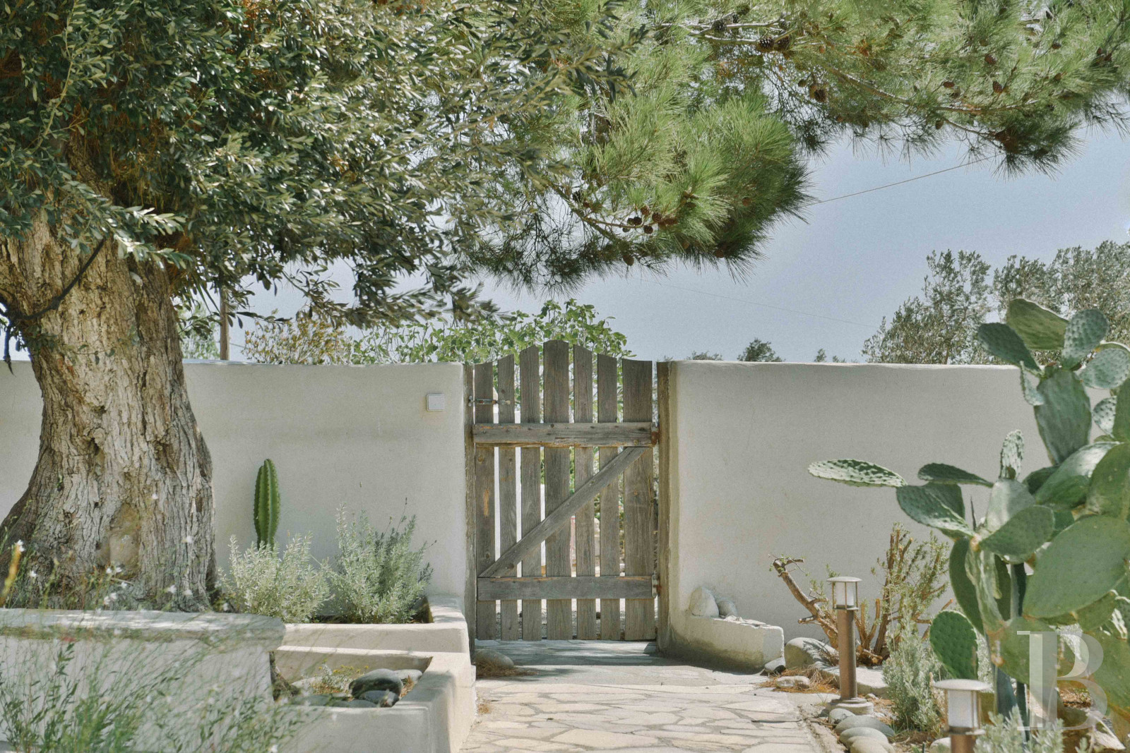 Sur l’île de Tinos, au nord des Cyclades, une ancienne ferme oléicole transformée en maison de charme - photo  n°5